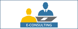 e-consulting