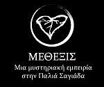 methexis_banner_small_F27002.jpg
